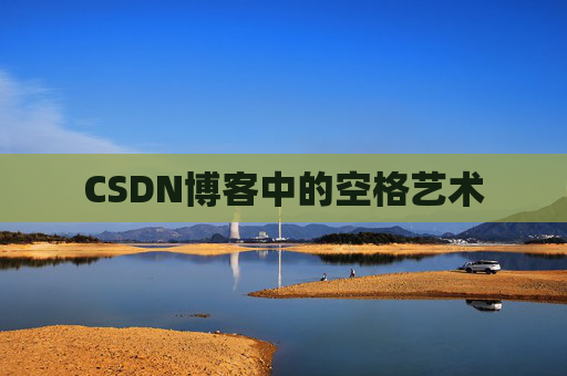 CSDN博客中的空格艺术